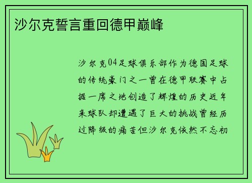 沙尔克誓言重回德甲巅峰