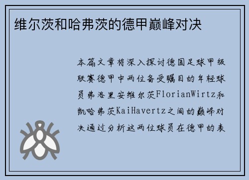 维尔茨和哈弗茨的德甲巅峰对决